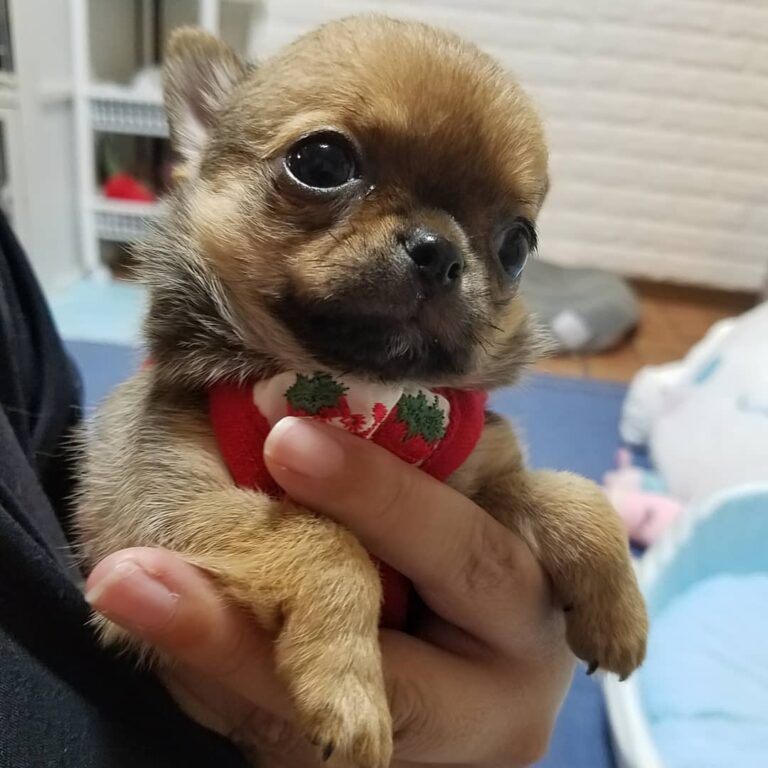 118285943 1002713020176616 5126010142855344083 N 768x768