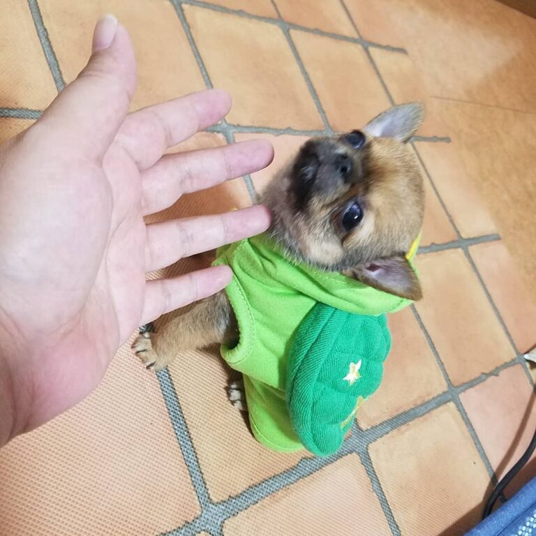 118289231 766460900854461 2084270728264035278 N 768x768