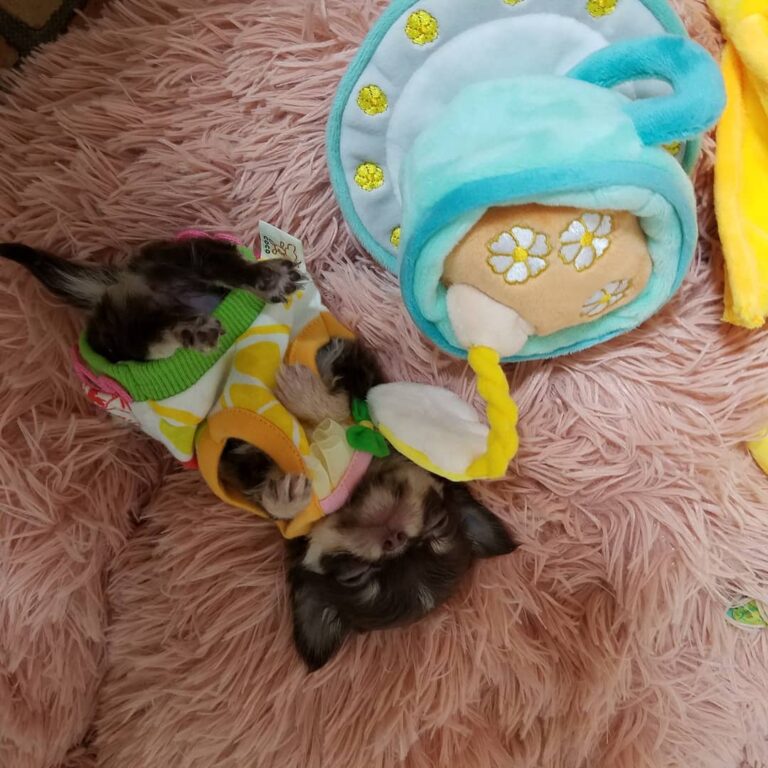 209080809 369059731451512 3502212026180145148 N 768x768