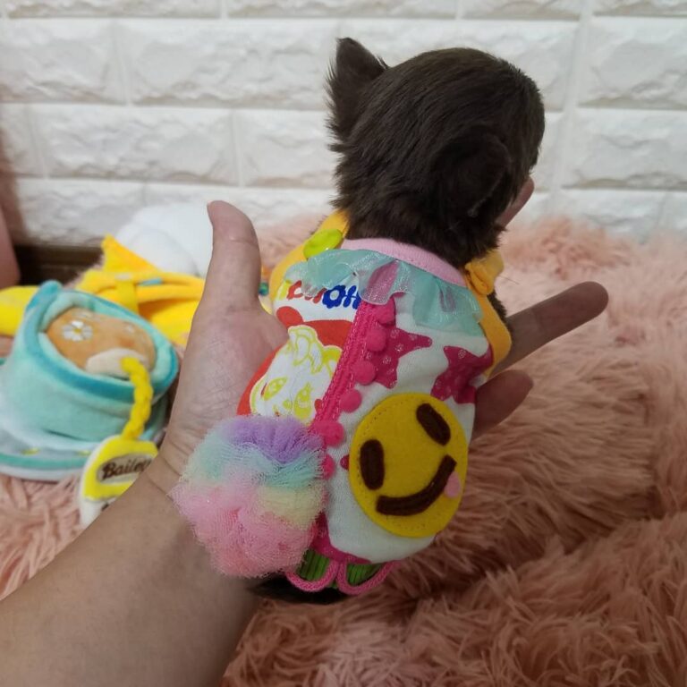 209128227 230430615359356 6223489845210139746 N 768x768