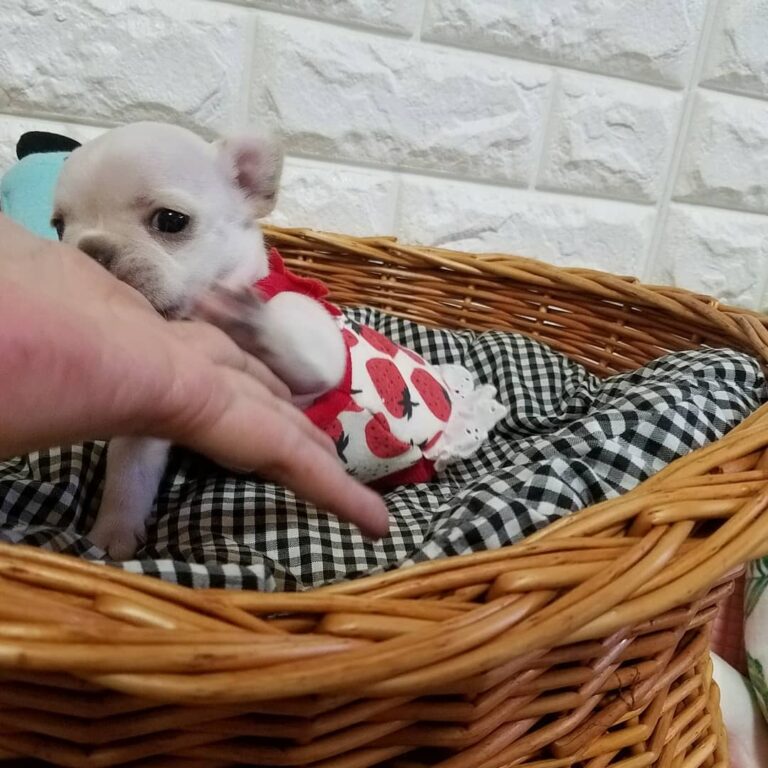 36887057 252150855388437 6418065511262715904 N 768x768