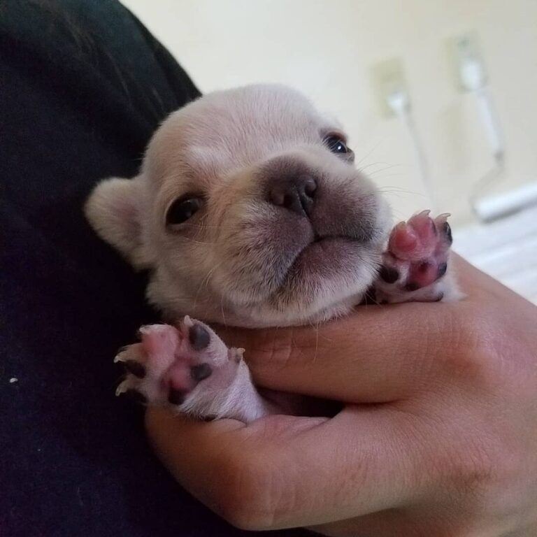 36991277 647678448950403 3778510982033178624 N 768x768