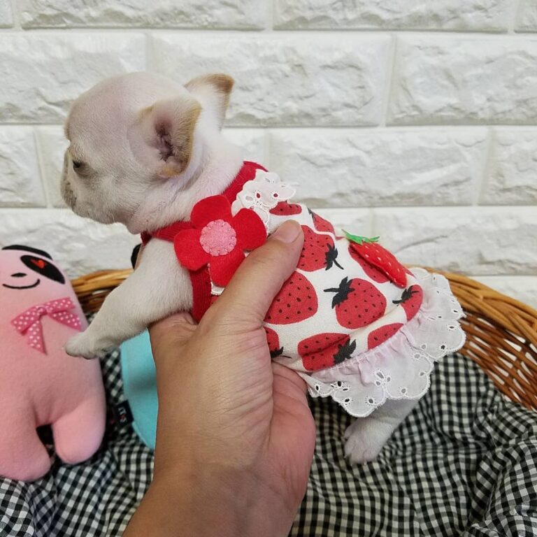 37342994 267717487145792 4509031713027915776 N 768x768