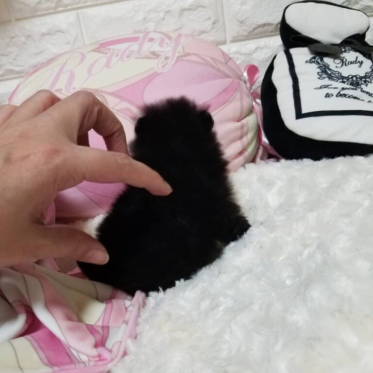 52885483 2307956366116214 9017832467886116269 N 768x768