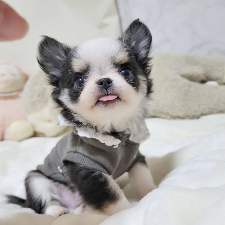 624837725 18444389161098741 3784750217815529442 N 768x768