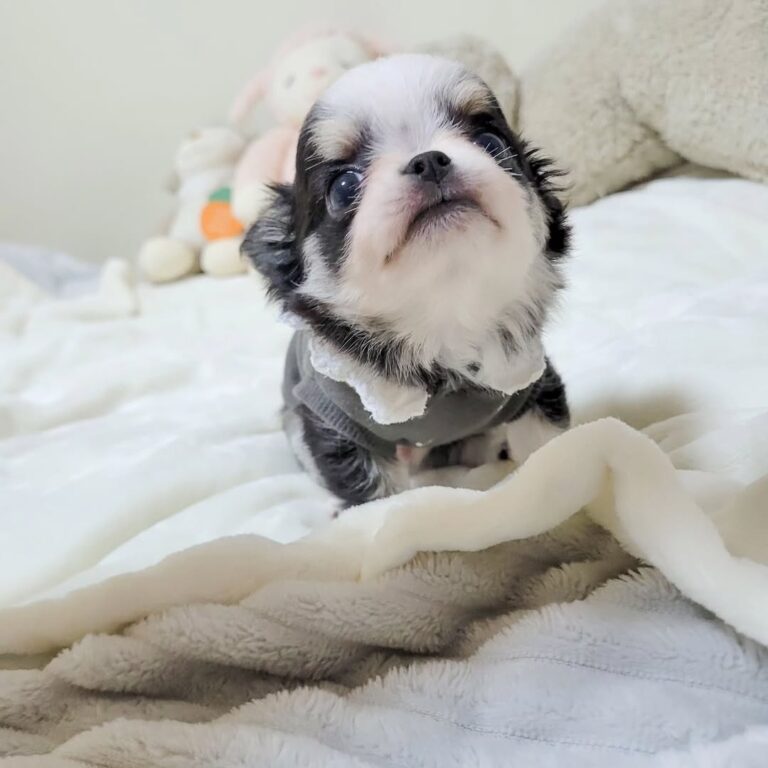 625225612 18444389152098741 1968748846944005912 N 768x768