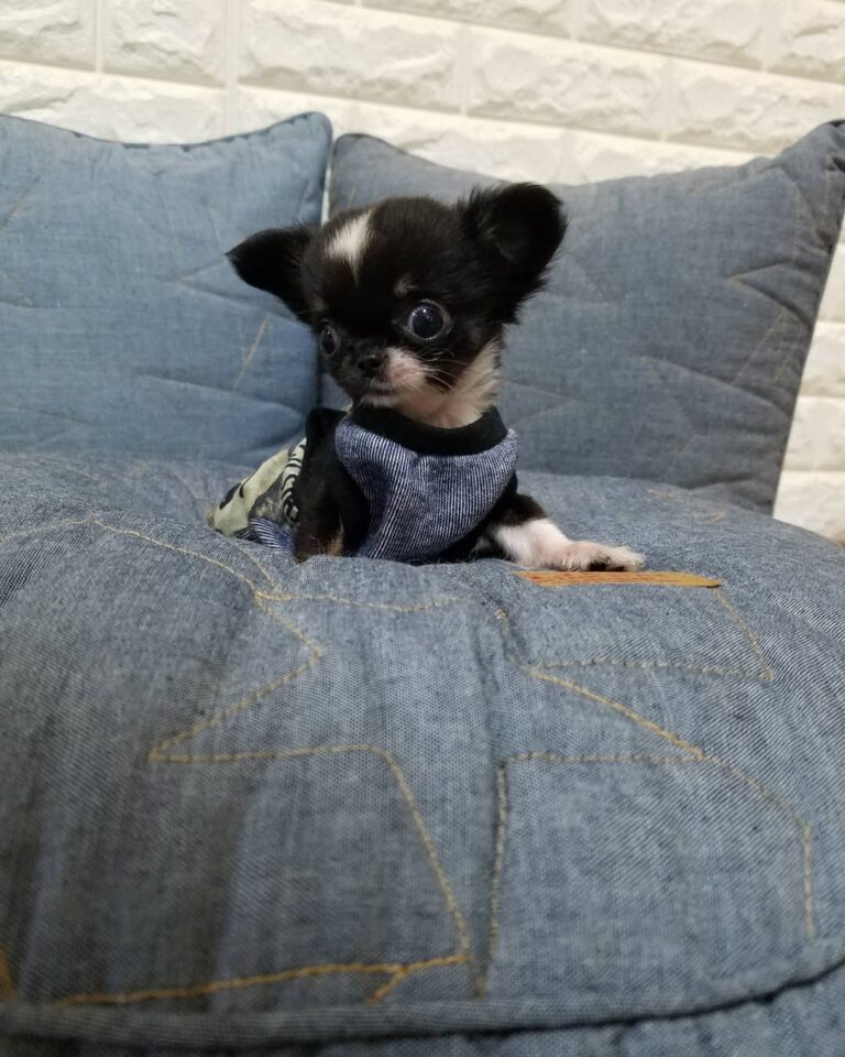 64437544 316508665961689 8659536249788413112 N 768x960