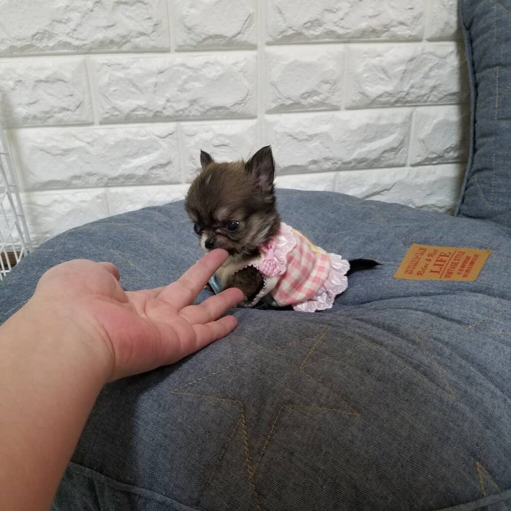 64497907 494553907956797 4658813648833686888 N 1024x1024