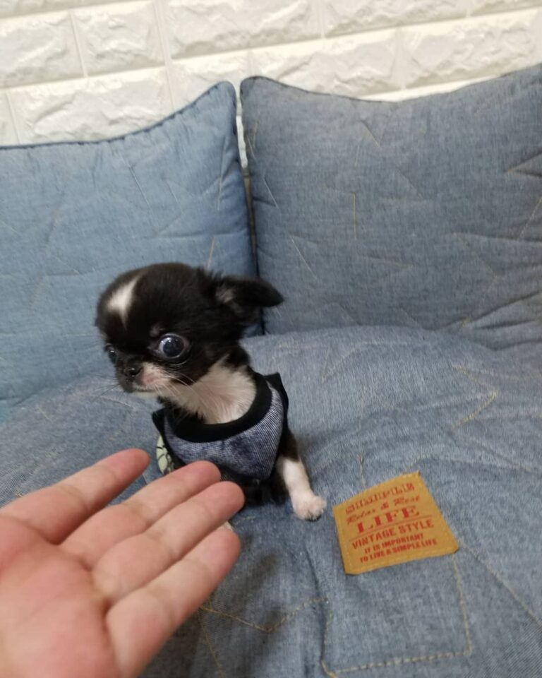 64763839 2338962436384823 858947530465038236 N 1 768x960