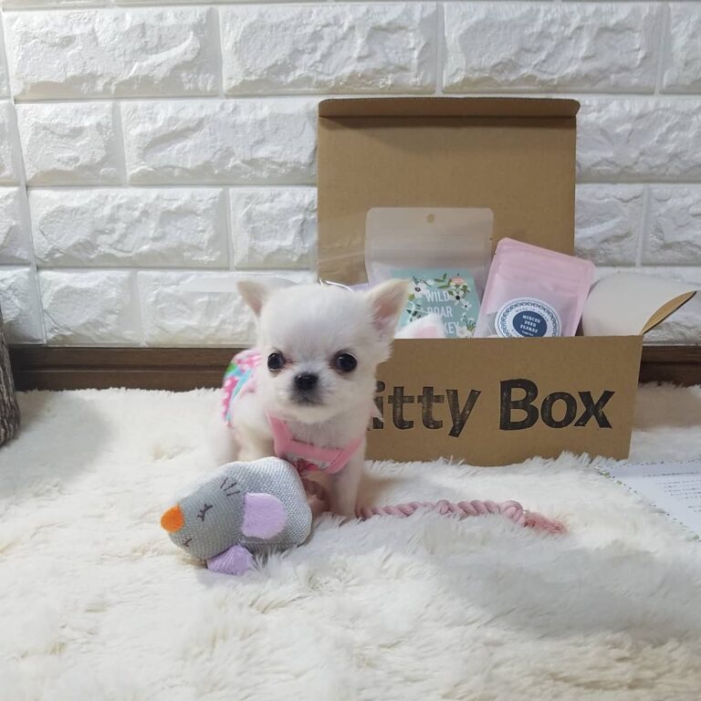 92742508 214473056451615 420356431833588743 N 768x768