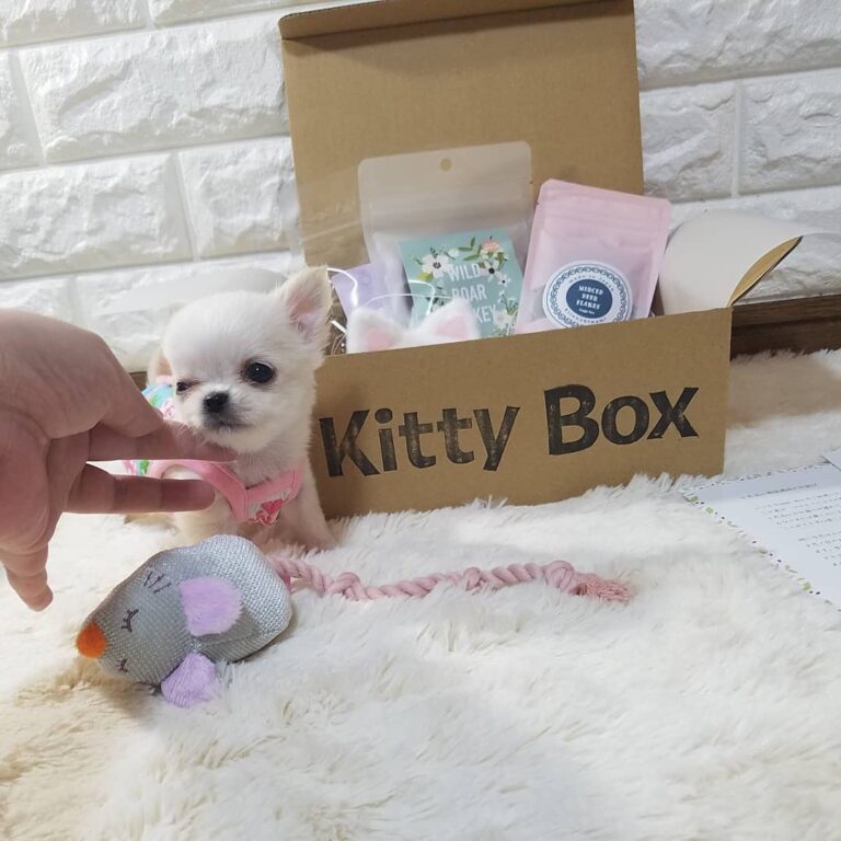 93095048 250845252765228 1381205540715673695 N 768x768