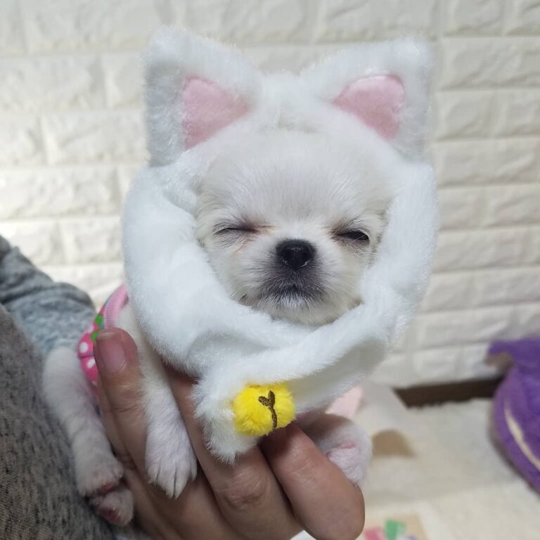 93179018 102832021352031 6248806271382307161 N 768x768