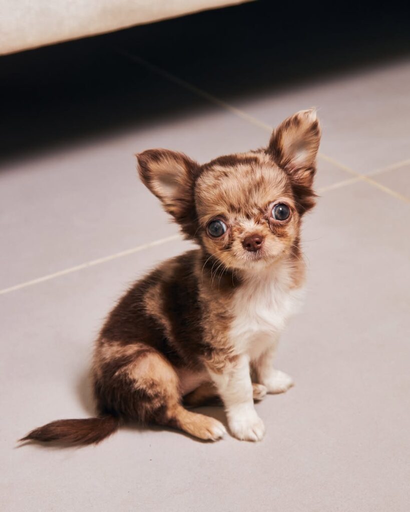 479094705 17867197662321424 299961918447918751 N 819x1024