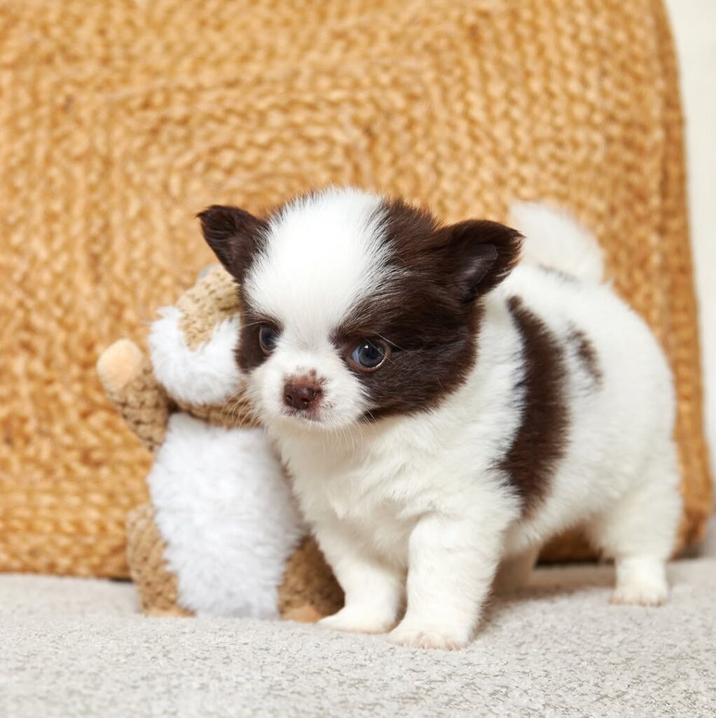 521552089 17887356234321424 7172481597386445351 N 1022x1024